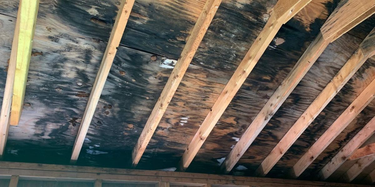 crawl space