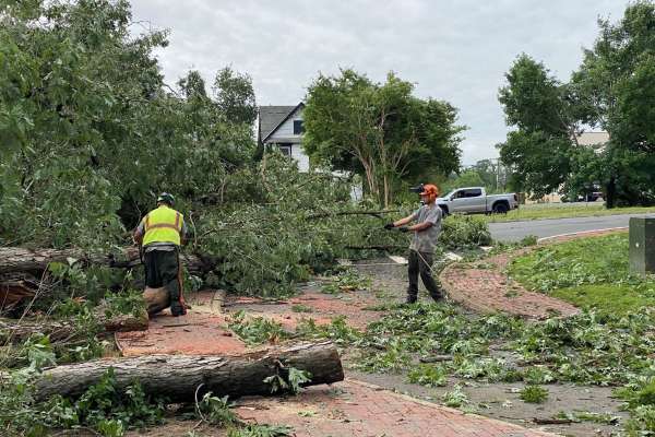storm cleanup
