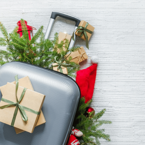 What Should You Do to Protect Your Home While You Travel for the Holidays?